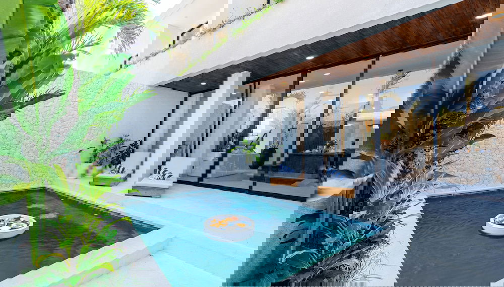 Imagem principal