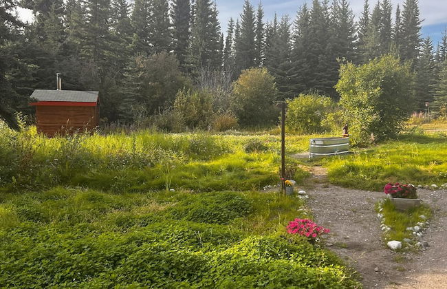 Little Atlin Lodge - Foto 65