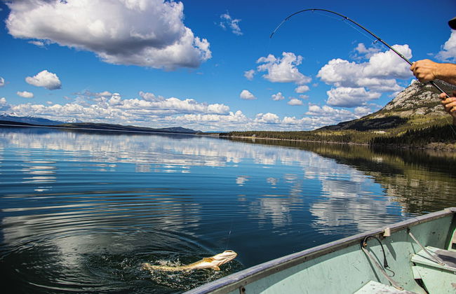 Little Atlin Lodge - Foto 42