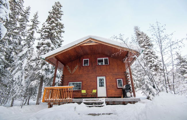 Little Atlin Lodge - Foto 57