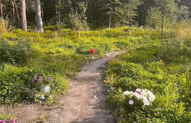 Little Atlin Lodge - Foto 64