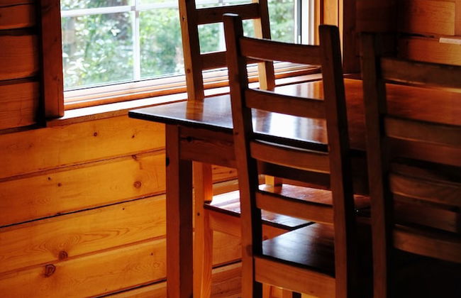 Little Atlin Lodge - Foto 6