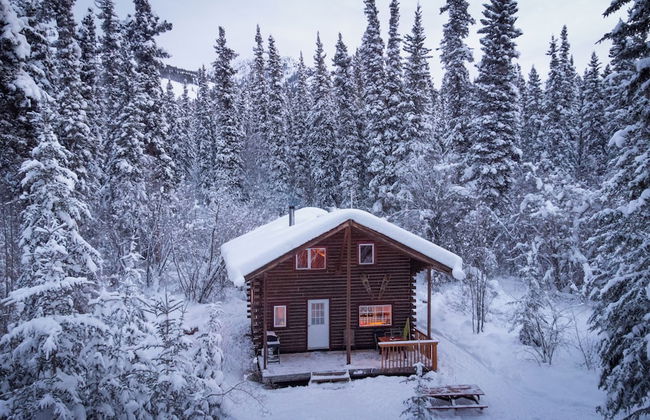 Little Atlin Lodge - Foto 58