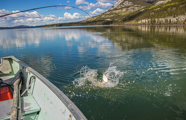 Little Atlin Lodge - Foto 44