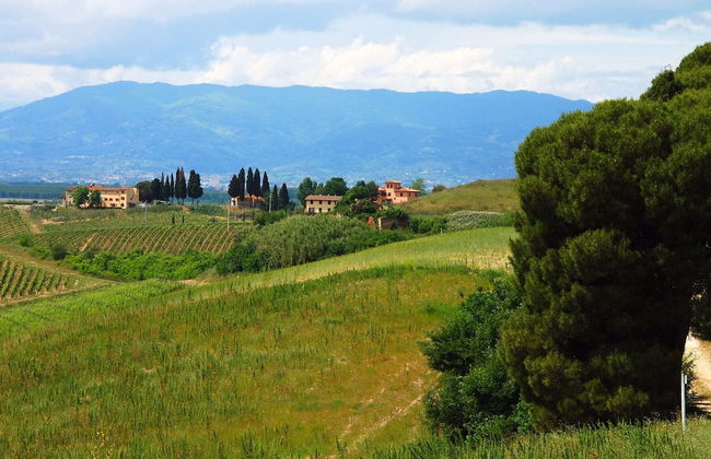 Holiday Home With Pool in Stabbia - Foto 69