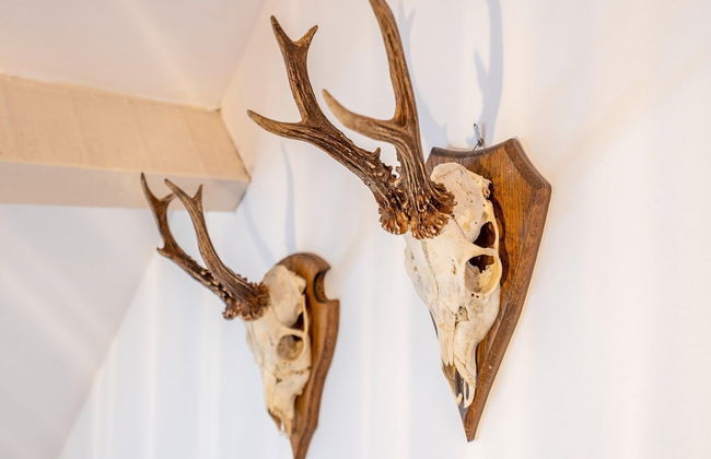 Nice Apartment on Unesco World Heritage Site Wortel-kolonie - Foto 53