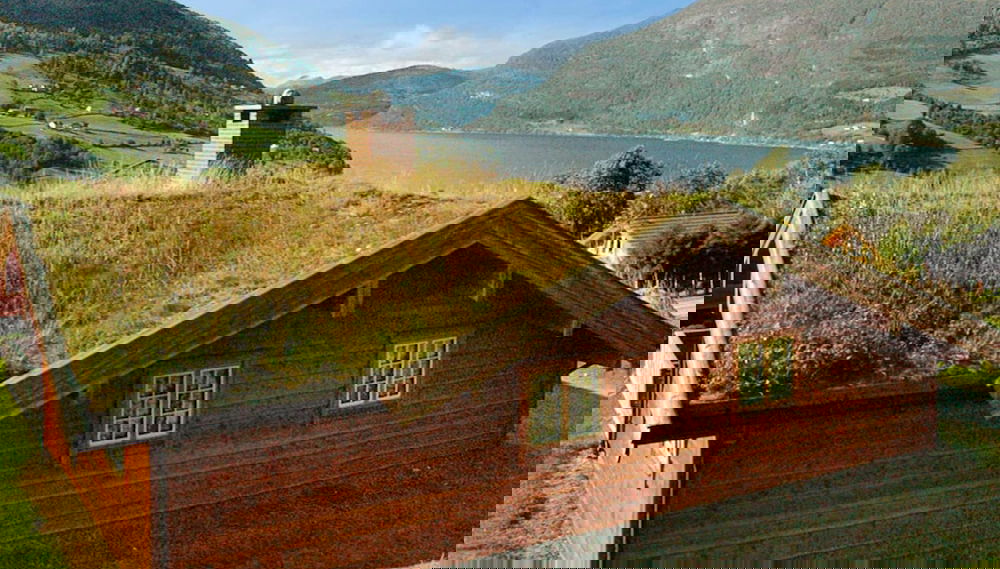 Image principale