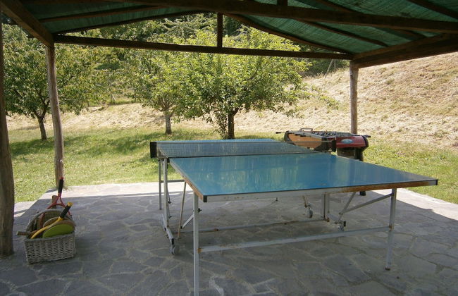 Spacious Holiday Home in Vicchio With Private Pool - Photo 57