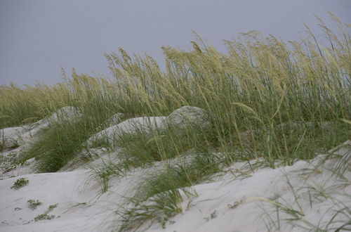 Photo 28 - Spacious Condo in the Heart of Hilton Head