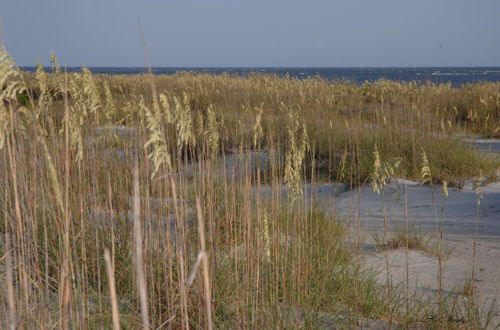 Foto 29 - Spacious Condo in the Heart of Hilton Head