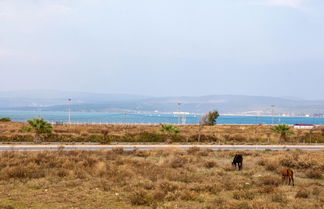 Photo 2 - Lovely Villa Backyard and Terrace in Urla