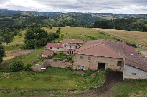 Photo 10 - Domaine du COQ en PAT