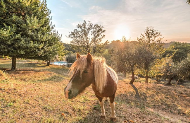 Farmhouse in Tuscany With Pool Near Montecastello - Foto 33