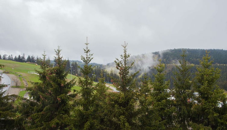 Photo 1 - Apartment in Winterberg With Balcony