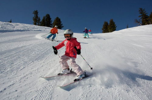 Photo 29 - Small Flat Close to Winterberg's ski Carousel