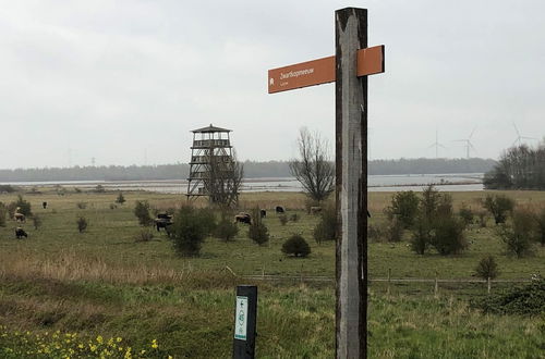 Photo 39 - Fantastic Villa in Ooltgensplaat With Jetty