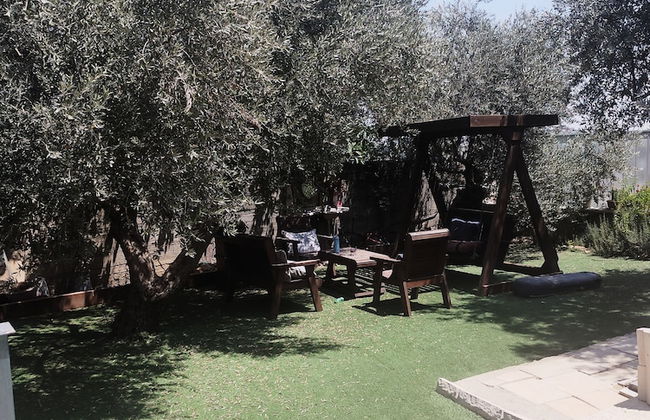 Olive Palace Restaurant and Lounge - Photo 12