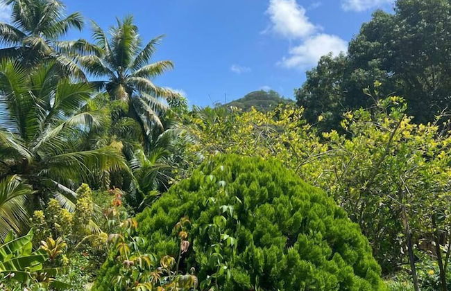 Paul's Residence - Foto 29