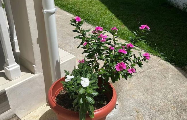 Paul's Residence - Foto 32