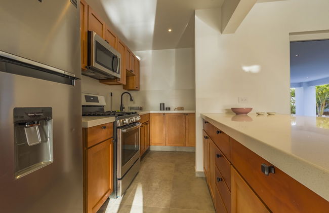 Boca Catalina Modern Villa - Photo 19