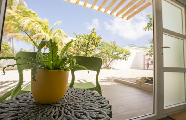 Boca Catalina Modern Villa - Photo 40