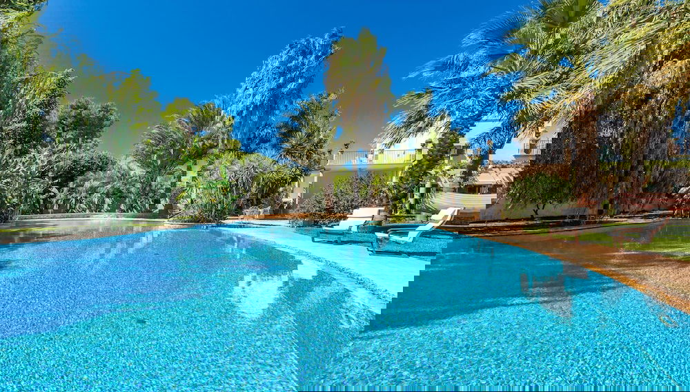 Primary image