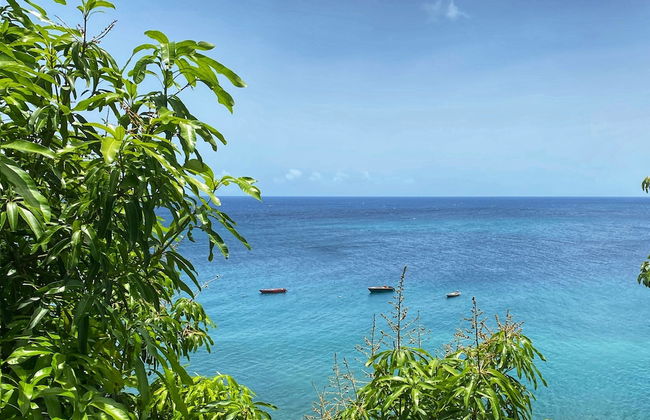 Sunset Reef St.Kitts - Photo 21