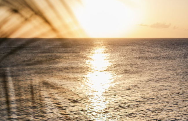 Sunset Reef St.Kitts - Photo 47