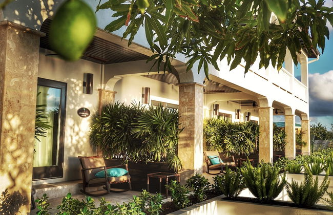 Sunset Reef St.Kitts - Photo 20