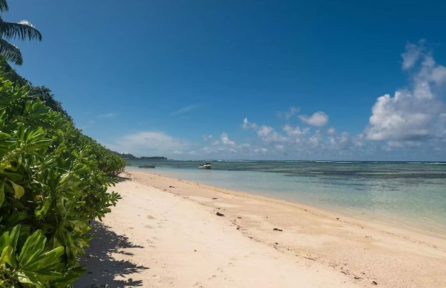 Chez Benoit Self Catering - Foto 41