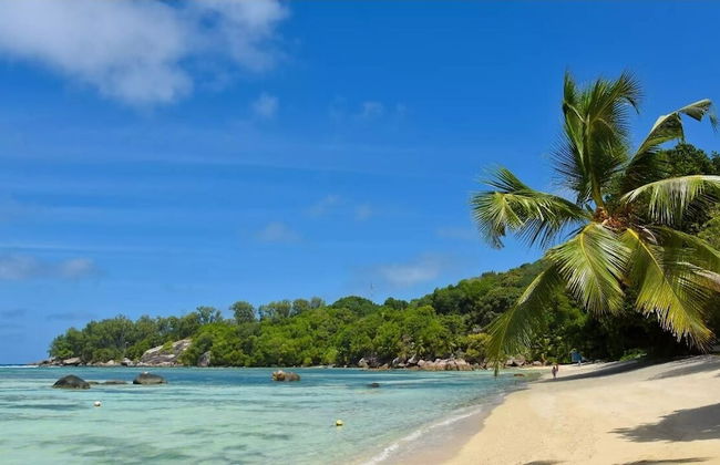 Chez Benoit Self Catering - Foto 38