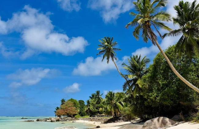 Chez Benoit Self Catering - Foto 36