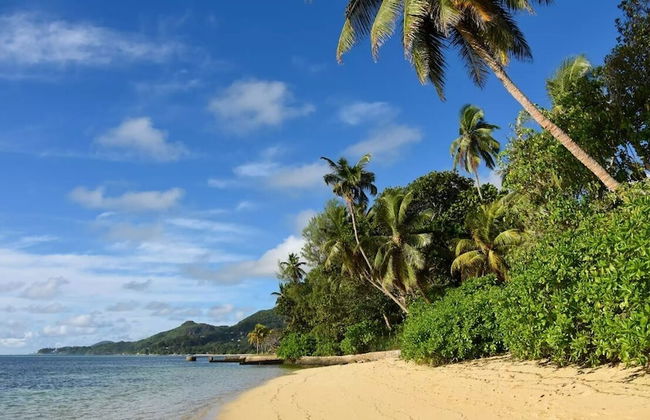 Chez Benoit Self Catering - Foto 37