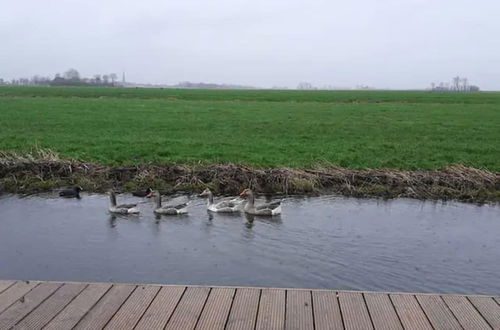 Photo 11 - Prive Jacuzzi, Cows, Dairyfarm, Relaxing, Sleeping