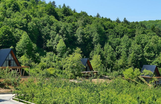 Malak Farma - Foto 6