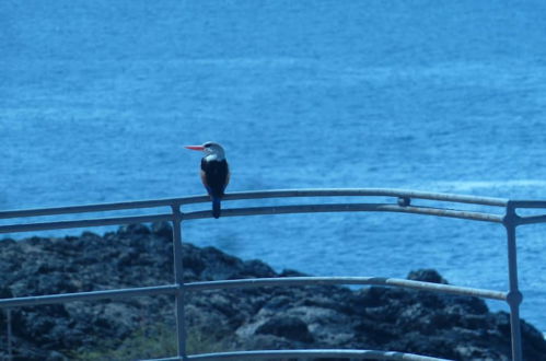 Photo 13 - Villa Halcyon Cabo Verde