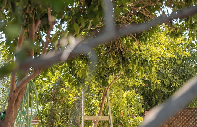 Artistic Vac Villa w pool by Sea N' Rent - Foto 67