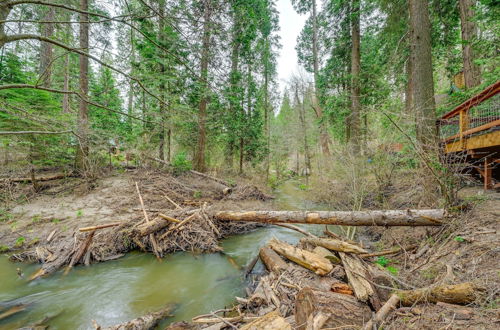 Photo 11 - Enchanting Creekside Cabin Near Kings Canyon Park