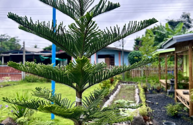 PJ Kingdom Camps - Photo 10