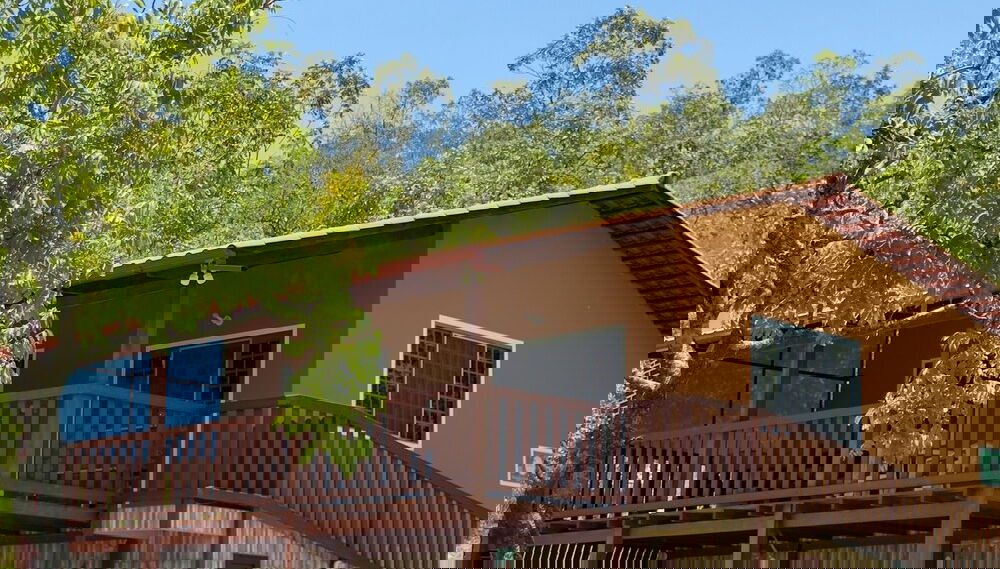 Imagem principal