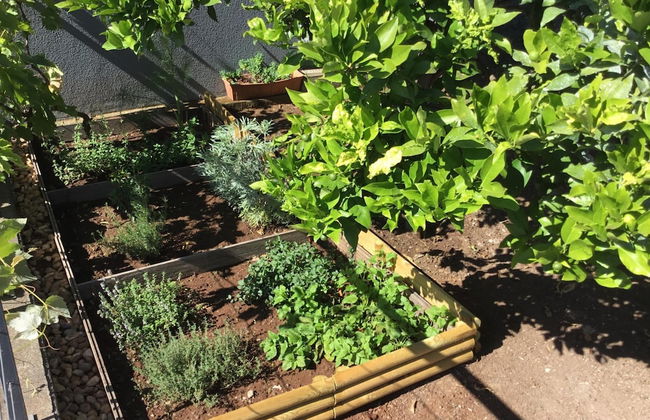 Villa Beausoleil by Madeira Sun Travel - Foto 40