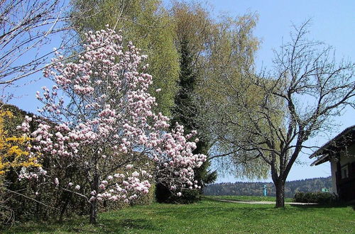 Foto 16 - Holiday Home in Ludmannsdorf Near Worthersee