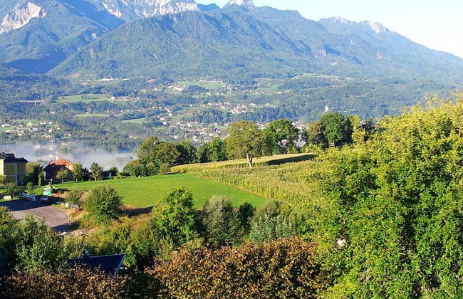 Holiday Home in Ludmannsdorf Near Worthersee - Foto 26