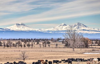 Photo 2 - Beautiful Ranch Home w/ Cascade Mountain View