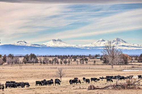 Foto 8 - Beautiful Ranch Home w/ Cascade Mountain View