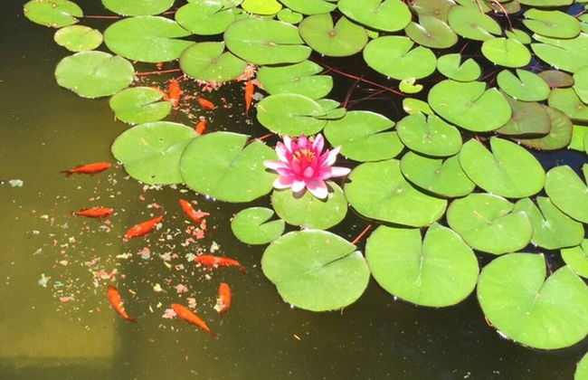 Park Residence Cicladi- 2 - Foto 9