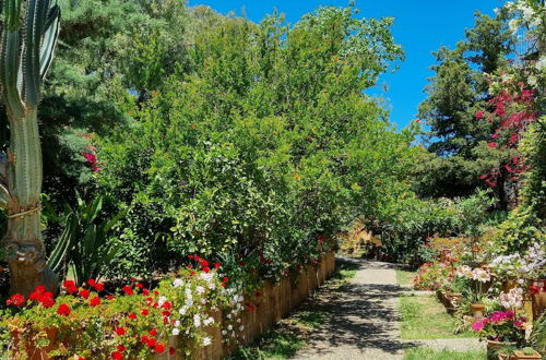 Photo 22 - 2- Large Terrace and Suggestive Panorama