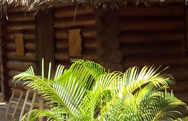 Room in Cabin - Cozy Sierraverde Cabins Cabana la Ceiba - Photo 9