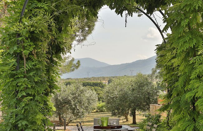 Olives and Vines all Season Villa - Foto 28