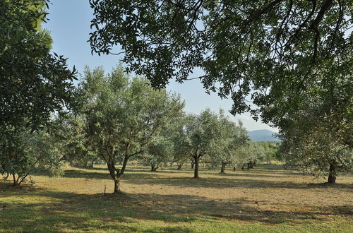 Photo 39 - Olives and Vines all Season Villa